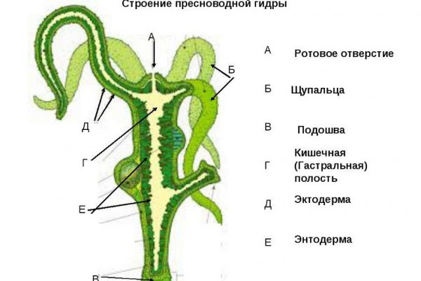 Сайты типа гидры